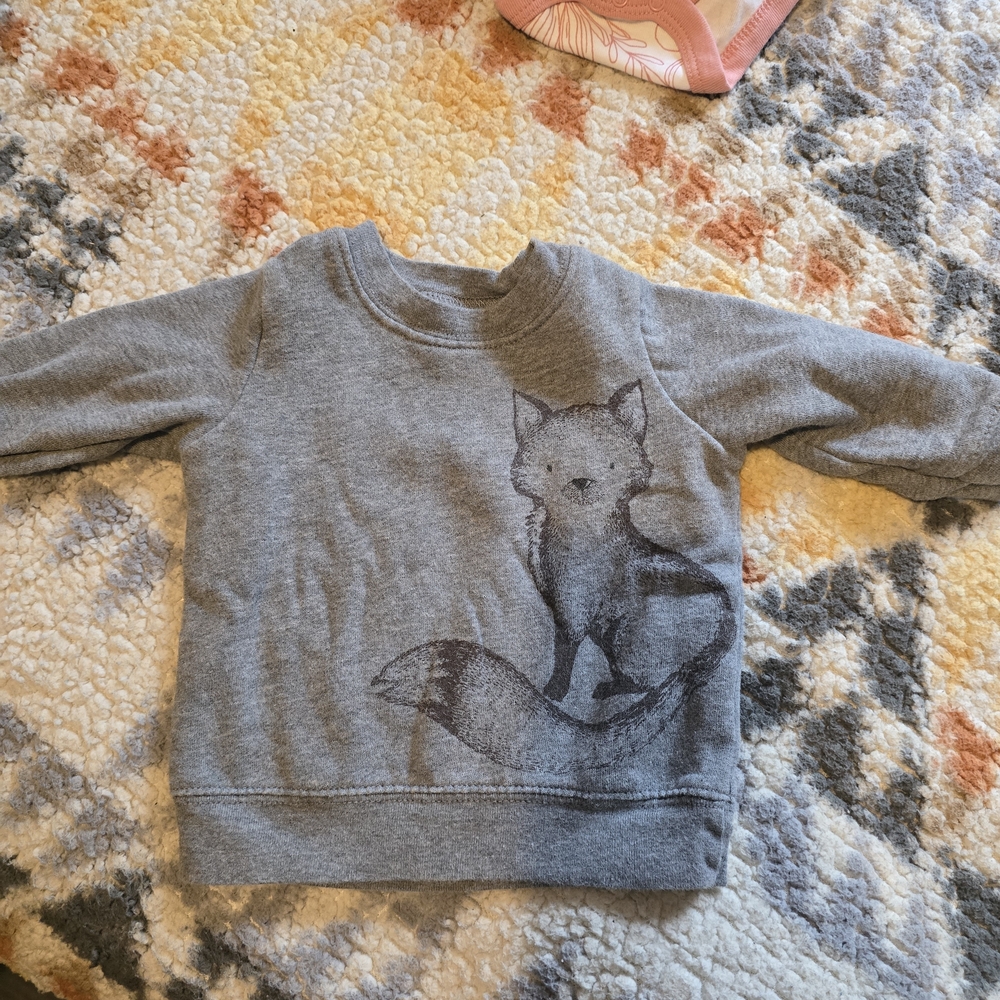 Child of Mine Gray Fox Sweatshirt